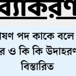 বিশেষণ পদ কাকে বলে