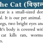 The cat paragraph for class 2, 3, 4, 5 - বাংলা অর্থ সহ