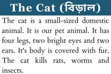 The cat paragraph for class 2, 3, 4, 5 - বাংলা অর্থ সহ