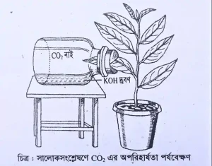 সালোকসংশ্লেষণ প্রক্রিয়ায় co2 অপরিহার্যতার পরীক্ষা