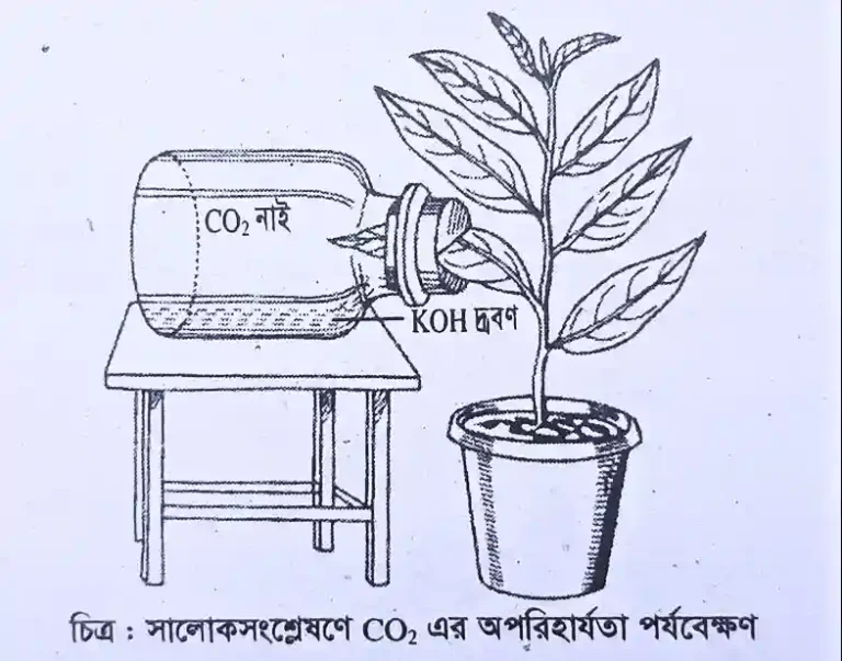 সালোকসংশ্লেষণ প্রক্রিয়ায় co2 অপরিহার্যতার পরীক্ষা