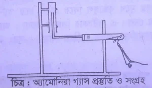 অ্যামোনিয়া গ্যাস প্রস্তুতি