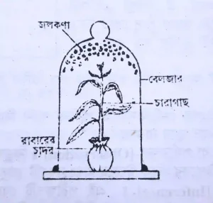 প্রস্বেদনের পরীক্ষা