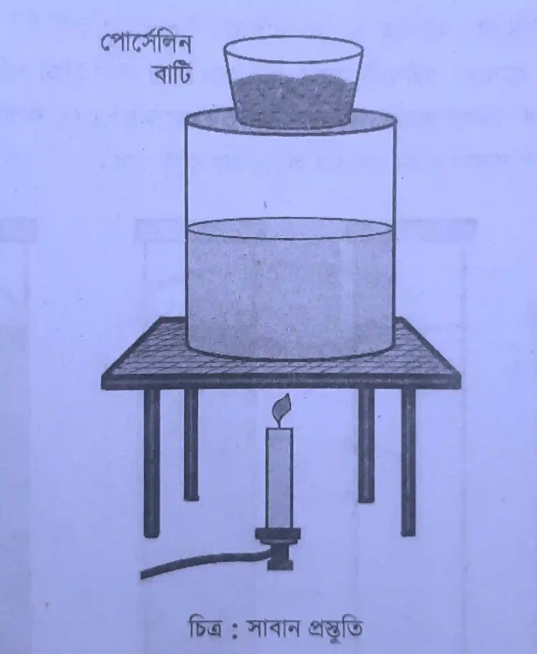 চিত্র : সাবান প্রস্তুতি