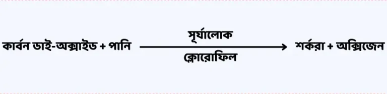 সালোকসংশ্লেষণ বিক্রিয়া